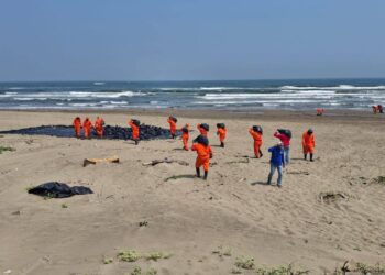 Gobierno intensifica acciones por derrame de hidrocarburo en el Golfo de México
