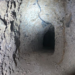 Inhabilitan túnel clandestino en Nogales, Sonora, conectaba con Estados Unidos