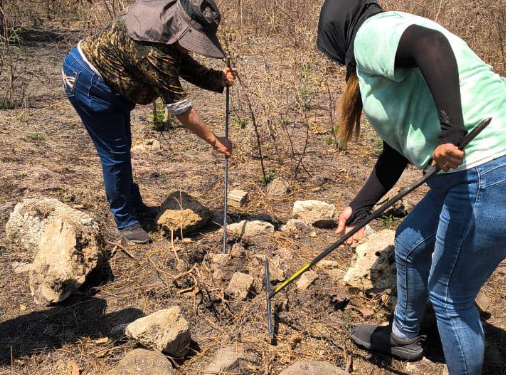 Madres buscadoras de Tamaulipas hallan restos óseos en Altamira