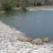 Mortandad de peces en Tamaulipas