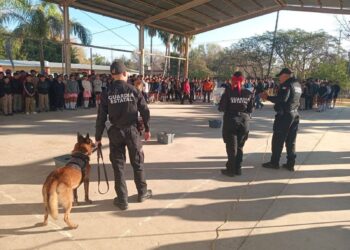 Revisión de mochila en escuelas de Matamoros