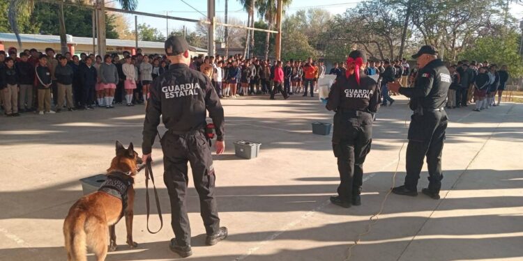 Revisión de mochila en escuelas de Matamoros