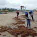 Playas de Tamaulipas ahora registran presencia de sargazo