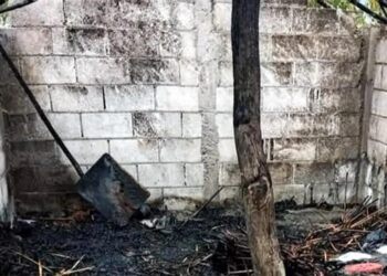 Queman bodega de Bienestar en Tamaulipas con insumos de Sembrando Vida