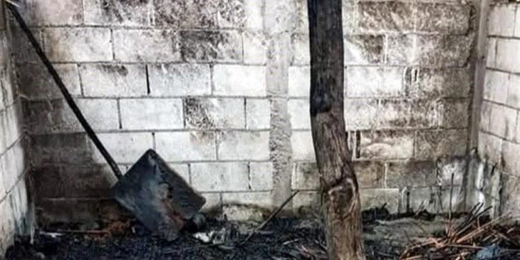 Queman bodega de Bienestar en Tamaulipas con insumos de Sembrando Vida