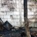 Queman bodega de Bienestar en Tamaulipas con insumos de Sembrando Vida