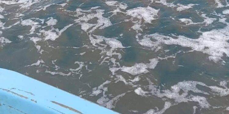 El alcalde Beto Granados señaló que el hidrocarburo detectado en Playa Mezquital no es reciente y tendría años en el mar