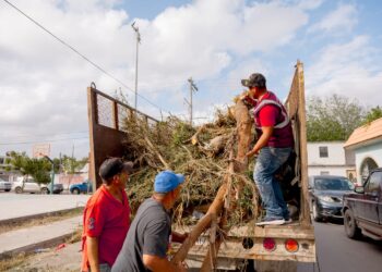 Con más camiones mejora la recolección de basura y aumenta el saneamiento de Matamoros