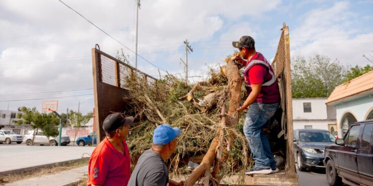 Con más camiones mejora la recolección de basura y aumenta el saneamiento de Matamoros