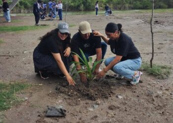 Campaña de reforestación fortalece el Parque Central de Matamoros