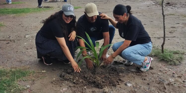 Campaña de reforestación fortalece el Parque Central de Matamoros