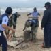 Más de 200 kilos de hidrocarburo retirados en Playa Bagdad y Mezquital