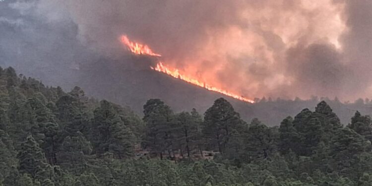 Sierra de Miquihuana registra dos incendios forestales activos