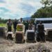 Vuelven a la vida silvestre! Tamaulipas libera especies tras rehabilitación especializada