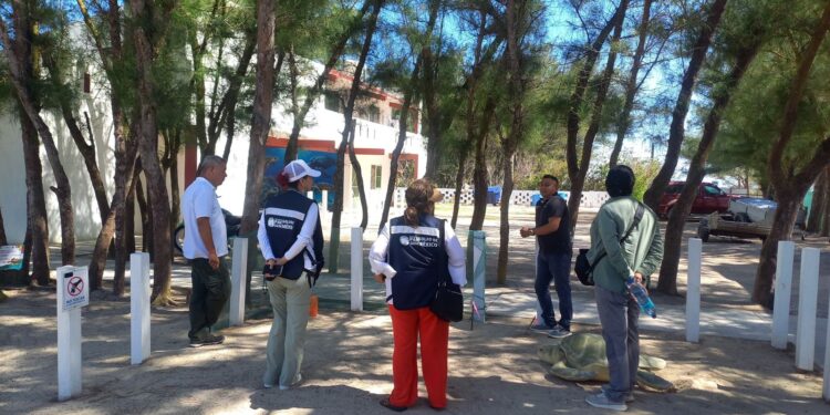 Fortalece Tamaulipas intercambio técnico para la conservación de la tortuga lora