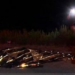 Hombre muere atropellado en carretera a Playa Bagdad
