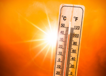 Ola de calor azota a Europa