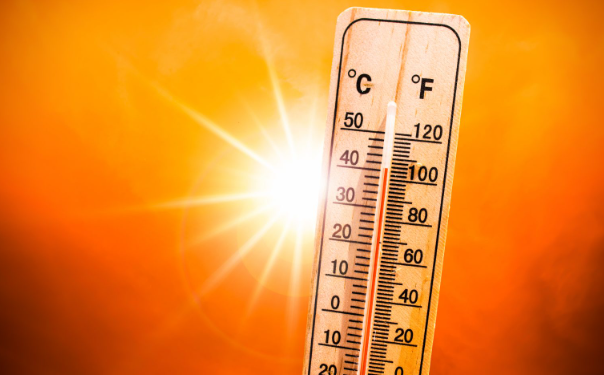 Ola de calor azota a Europa