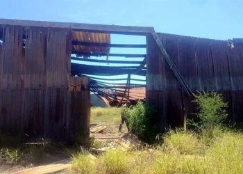 Hallan osamentas y 6 fosas clandestinas en Miguel Alemán