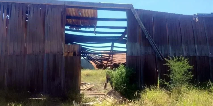 Hallan osamentas y 6 fosas clandestinas en Miguel Alemán