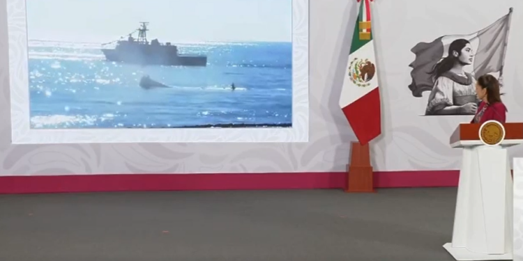 Hunden buque japonés en Matamoros para crear arrecife artificial