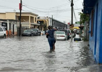 Inundaciones en Matamoros hoy colapsan calles y cae palmera