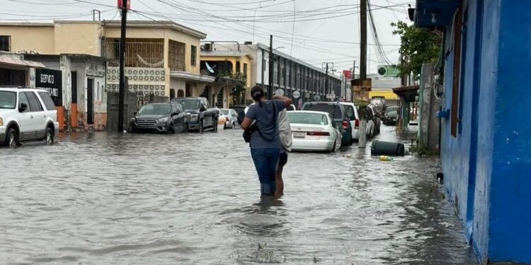 Inundaciones en Matamoros hoy colapsan calles y cae palmera