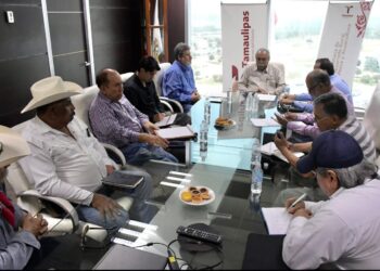 Analizan estrategias para diversificar la producción agrícola en Tamaulipas