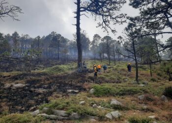 Refuerza Tamaulipas estrategia interinstitucional contra incendios forestales