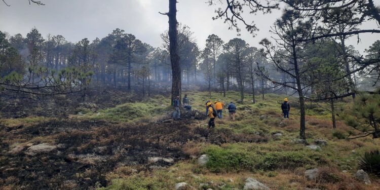 Refuerza Tamaulipas estrategia interinstitucional contra incendios forestales