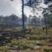 Refuerza Tamaulipas estrategia interinstitucional contra incendios forestales