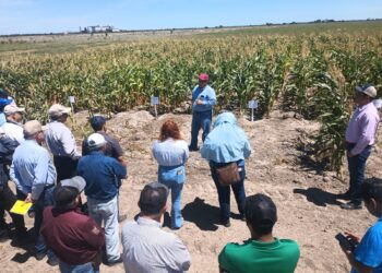 Promueven uso de residuos orgánicos para fortalecer la productividad agrícola