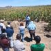 Promueven uso de residuos orgánicos para fortalecer la productividad agrícola
