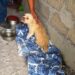 "Chata" se salva en el Centro de Bienestar Animal