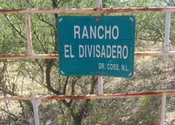 Hallan presunto campo de exterminio en límites de Tamaulipas y Nuevo León