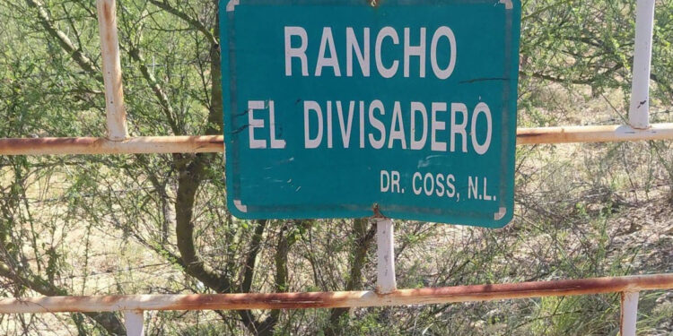 Hallan presunto campo de exterminio en límites de Tamaulipas y Nuevo León