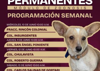 Invita Gobierno de Matamoros a aprovechar las Jornadas Permanentes del Módulo de Zoonosis