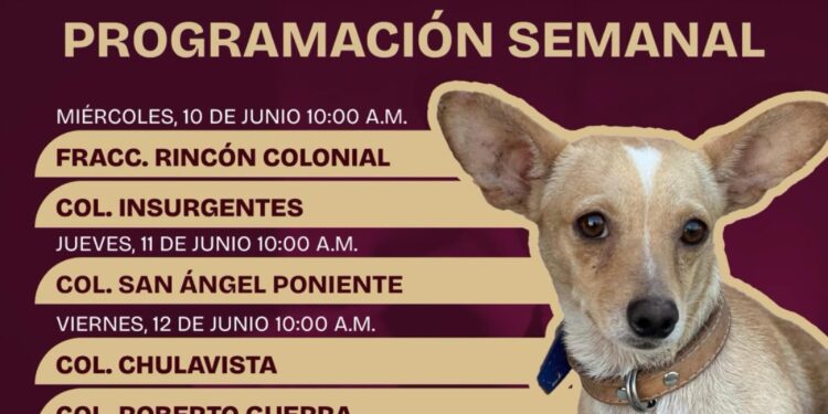 Invita Gobierno de Matamoros a aprovechar las Jornadas Permanentes del Módulo de Zoonosis