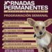 Invita Gobierno de Matamoros a aprovechar las Jornadas Permanentes del Módulo de Zoonosis