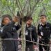 Refuerza Tamaulipas la vigilancia para proteger a la paloma ala blanca