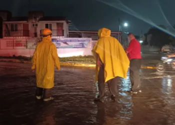 - Inundaciones en Ciudad Victoria: árboles caídos, calles colapsadas y crece el rio