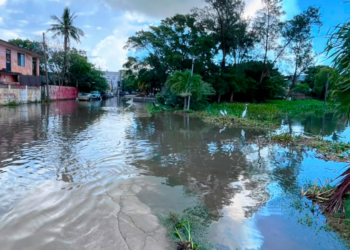 Se desborda laguna en Ciudad Madero y causa inundaciones