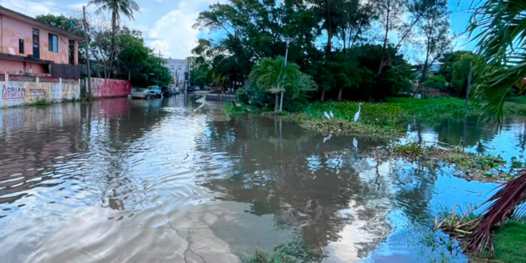 Se desborda laguna en Ciudad Madero y causa inundaciones