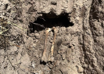 Hallan otra fosa con restos humanos en Reynosa