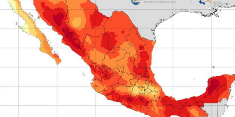 Vuelven altas temperaturas en Tamaulipas tras lluvias