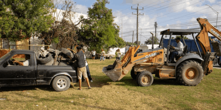 Refuerza Gobierno de Matamoros acciones de descacharrización en la colonia Rodolfo Sánchez Taboada
