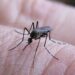 Descartan casos de dengue en Matamoros tras 109 pacientes sospechosos