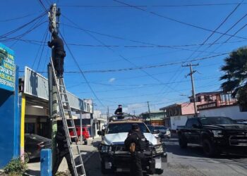 Lideran en cámaras ilegales Matamoros y Reynosa; han retirado 296