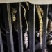 Rescatan a jaguar herido en sierra de Tamaulipas; sanará en zoológico