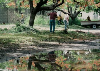 Activa SEDUMA brigadas ciudadanas de limpieza durante Semana Ambiental